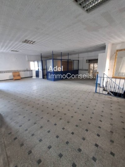 Location Immeuble Annaba Annaba