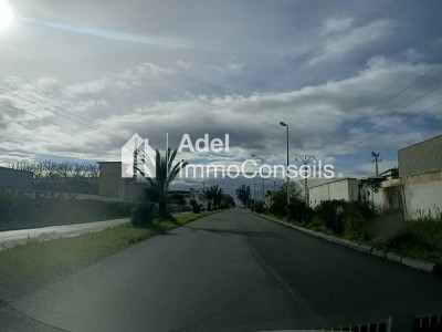 Location Hangar - Usine Annaba El hadjar