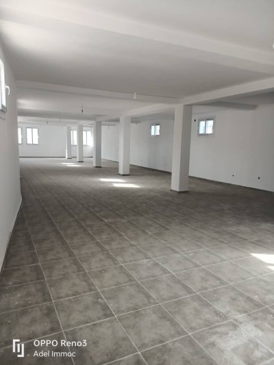 Location Immeuble Annaba Annaba