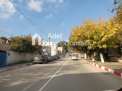 Sell Land Annaba Annaba