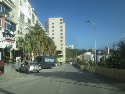 Rent Commercial Annaba Annaba