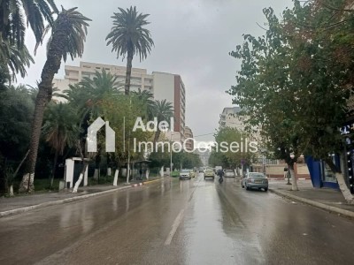 Vente Local Annaba Annaba