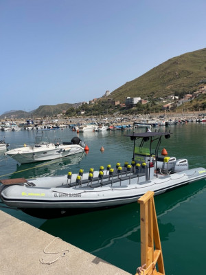 bateaux-barques-honda-250-vtec-nova-marine-2000-bejaia-algerie