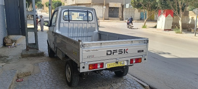 camionnette-dfsk-2024-chlef-algerie