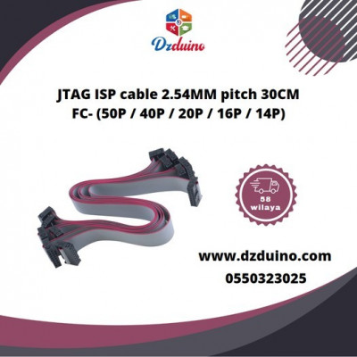 Câble JTAG ISP 2,54 mm 30CM 