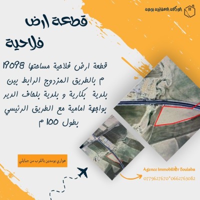 Sell Land Tébessa El kouif