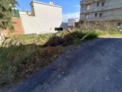 Vente Terrain Alger Khraissia