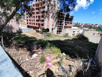 Vente Terrain Alger Saoula