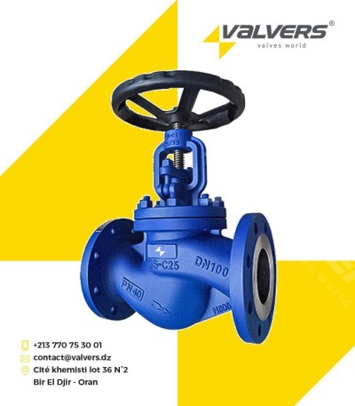 Vanne à soupape à bride