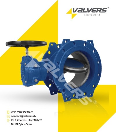 VANNE À PAPILLON DOUBLE EXCENTRIQUE 