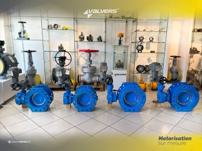 Vanne papillon double excentrique motorisée