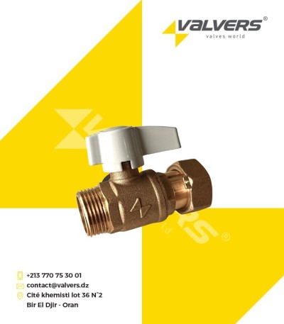 Robinet de compteur Vanne de branchement droit verrouillable 3/4" PN16 en bronze