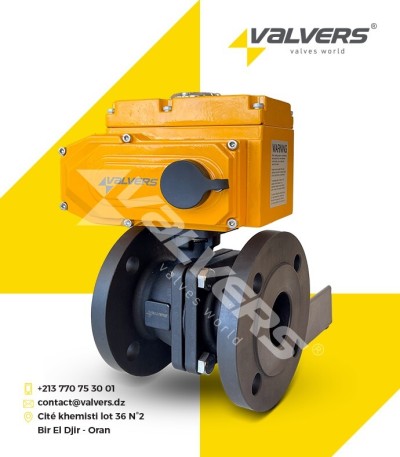 VANNE SPHÉRIQUE WCB ELECTRIQUE 