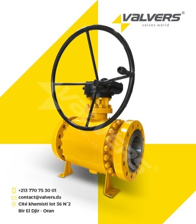 Vanne sphérique à tourillon avec réducteur 