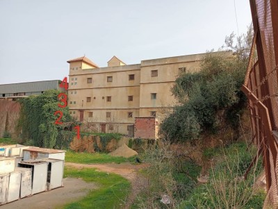 بيع مستودع - مصنع تيبازة فوكة