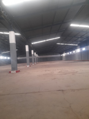 Rent Hangar Oran Hassi bounif