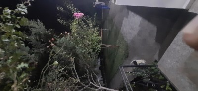 كراء فيلا الجزائر الأبيار