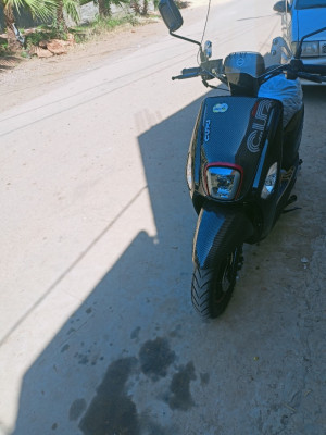 motos-scooters-vms-cooxie-2-2024-fouka-tipaza-algerie