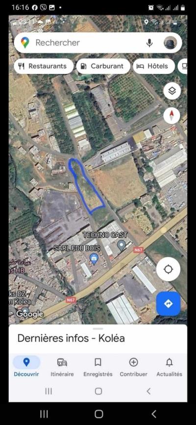 Vente Terrain Tipaza Kolea