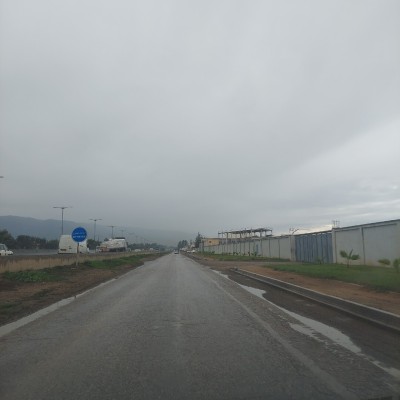 Vente Terrain Alger Tessala el merdja