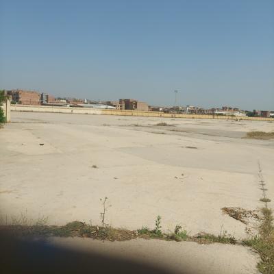 Vente Terrain Alger Douera