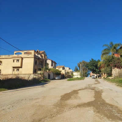 Vente Villa Alger Dely brahim