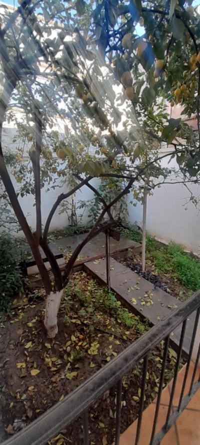 بيع أرض الجزائر عين النعجة