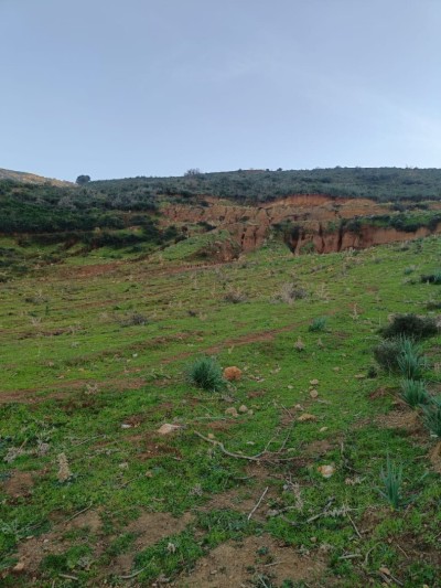 بيع أرض بومرداس الأربعطاش