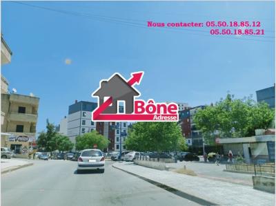 Rent Apartment F3 Annaba Annaba