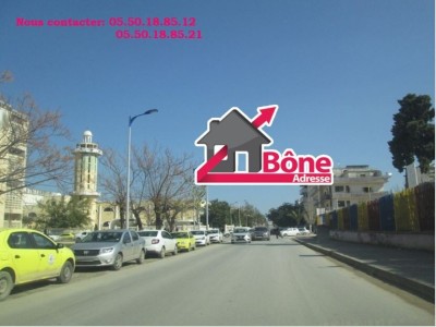 Location Local Annaba Annaba