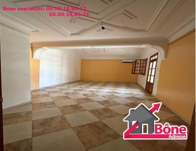 Rent Apartment F3 Annaba Annaba