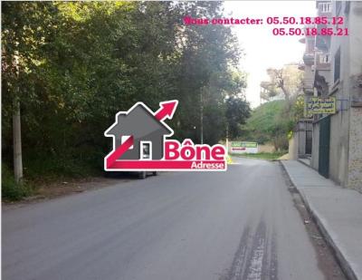 Rent Apartment Villa floor F3 Annaba Annaba