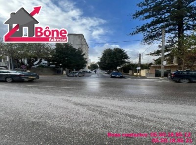 كراء محل عنابة عنابة