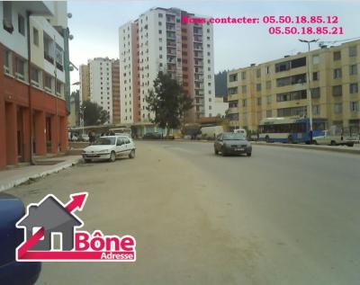 appartement-location-f4-annaba-algerie