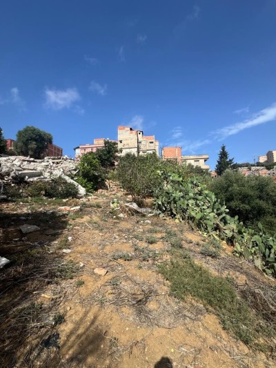 Sell Land Alger Bouzareah