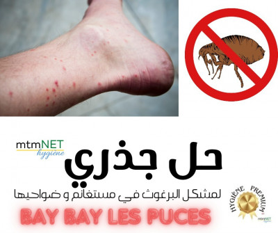 nettoyage-jardinage-traitement-radical-anti-puces-a-mostaganem-البرغوث-abdelmalek-ramdane-achaacha-ain-nouissi-sidi-cherif-tadles-algerie