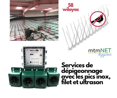 Dépigeonnage 58 WILAYAS الحلول الفعالة لإبعاد الحمام و الطيور 