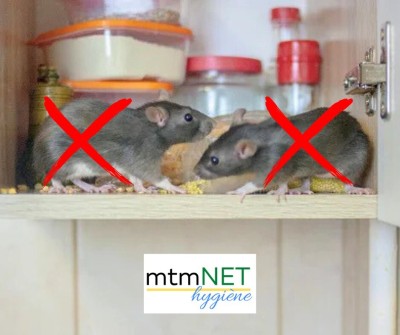 Entreprise de dératisation à Mostaganem 