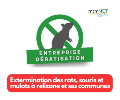 Entreprise de dératisation à relizane et ses environs 