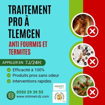 Extermination des termites, fourmis et fourmilières à tlemcen 