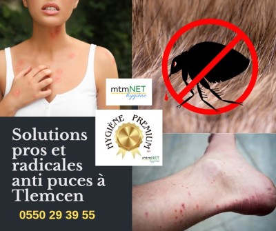 Service d'extermination des puces à tlemcen 