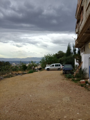 hangar-location-alger-birtouta-algerie