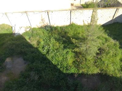 بيع أرض الجزائر بئر توتة