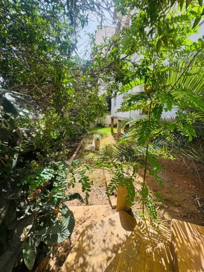 Vente Villa Alger Hydra