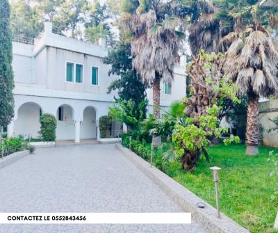 Location Immeuble Alger Hydra