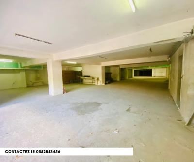 Location Local Alger Hydra