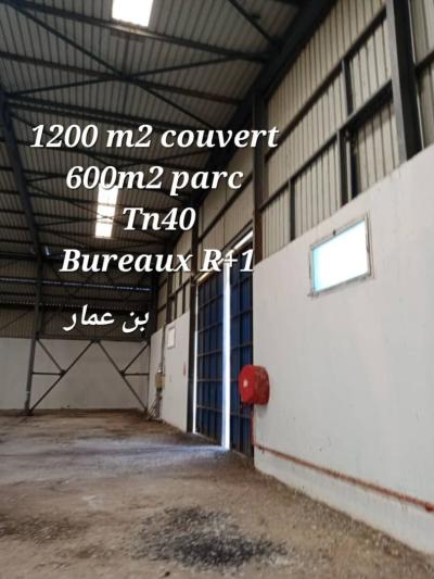 Rent Hangar Boumerdès Hammedi