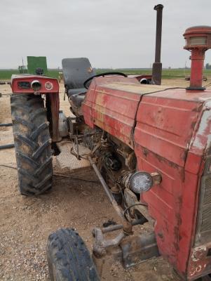 tracteurs-غوزلافيا-branis-biskra-algerie