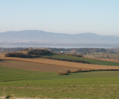 terrain-agricole-location-medea-algerie