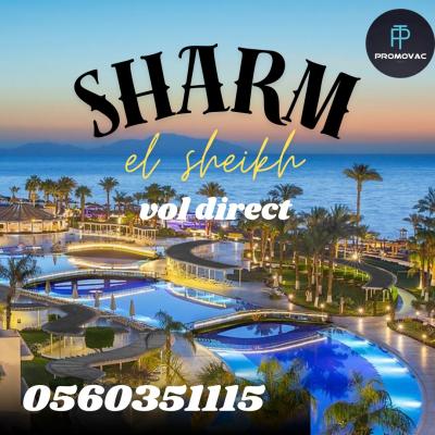 SHARM EL SHEIKH VOL DIRECT EGYPT AIR 